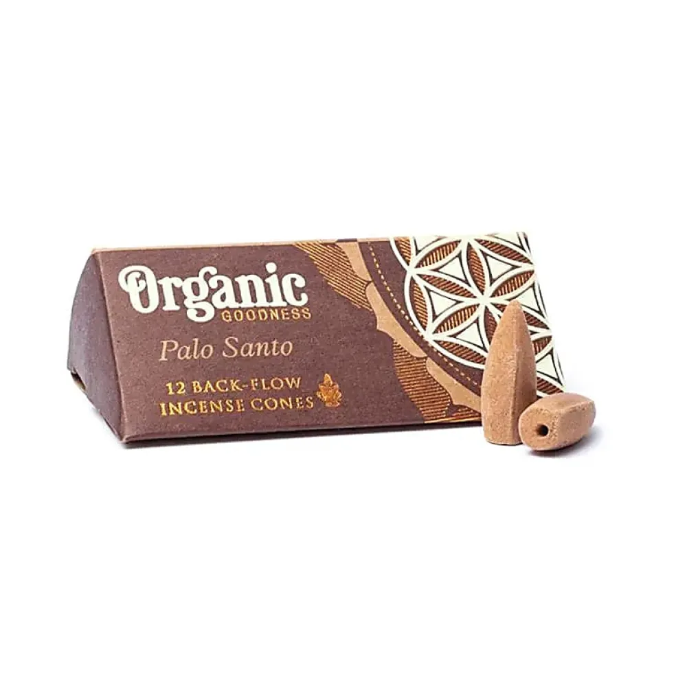 Cônes à refoulement Organic - paquets de 24g