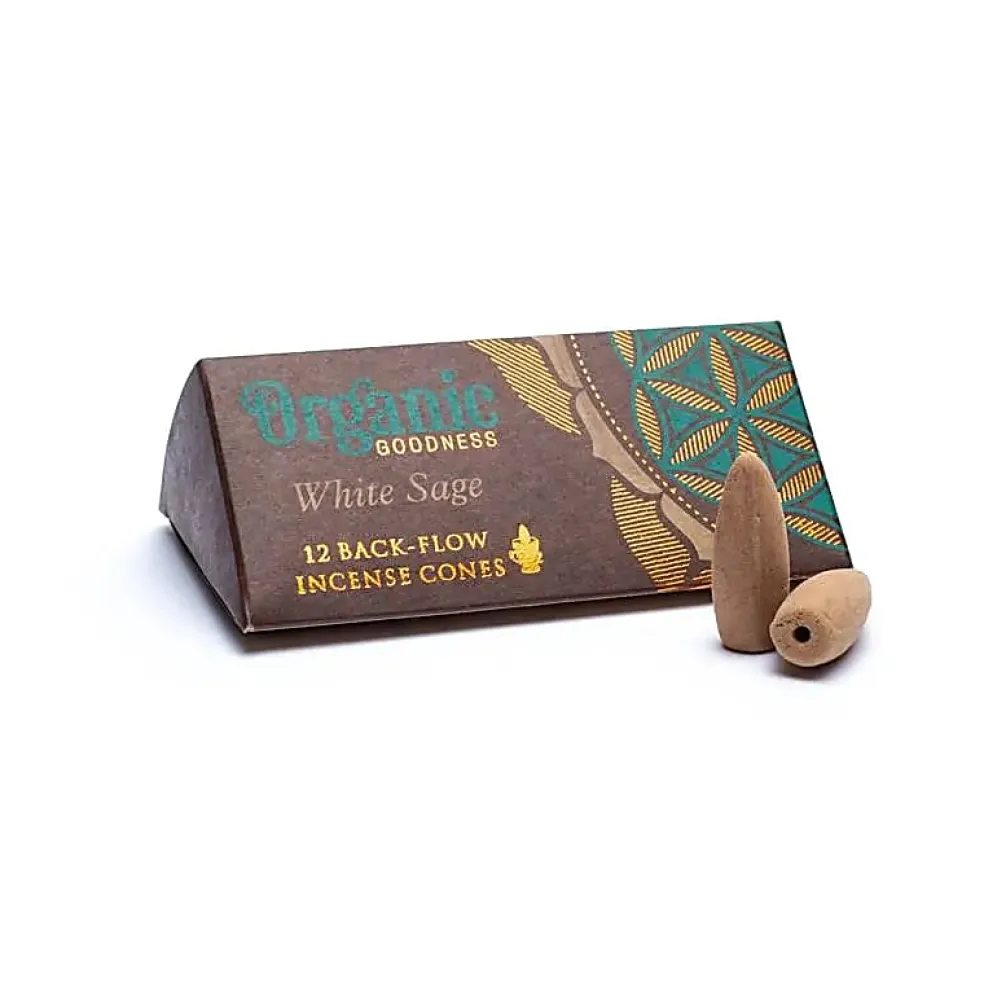 Cônes à refoulement Organic - paquets de 24g
